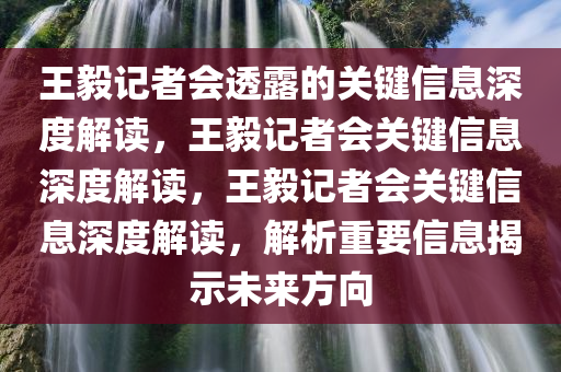 王毅记者会透露的关键信息深度解读，王毅记者会关键信息深度解读，王毅记者会关键信息深度解读，解析重要信息揭示未来方向