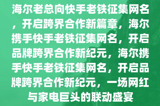 海尔老总向快手老铁征集网名，开启跨界合作新篇章，海尔携手快手老铁征集网名，开启品牌跨界合作新纪元，海尔携手快手老铁征集网名，开启品牌跨界合作新纪元，一场网红与家电巨头的联动盛宴