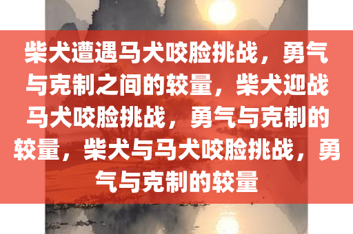 柴犬遭遇马犬咬脸挑战，勇气与克制之间的较量，柴犬迎战马犬咬脸挑战，勇气与克制的较量，柴犬与马犬咬脸挑战，勇气与克制的较量