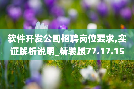 软件开发公司招聘岗位要求,实证解析说明_精装版77.17.15