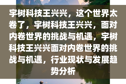 宇树科技王兴兴，这个世界太卷了，宇树科技王兴兴，面对内卷世界的挑战与机遇，宇树科技王兴兴面对内卷世界的挑战与机遇，行业现状与发展趋势分析