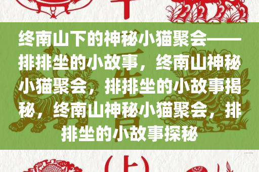 终南山下的神秘小猫聚会——排排坐的小故事，终南山神秘小猫聚会，排排坐的小故事揭秘，终南山神秘小猫聚会，排排坐的小故事探秘