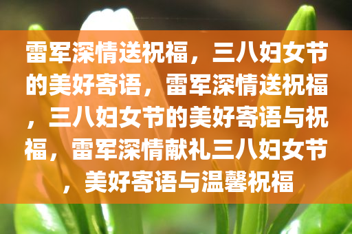 雷军深情送祝福，三八妇女节的美好寄语，雷军深情送祝福，三八妇女节的美好寄语与祝福，雷军深情献礼三八妇女节，美好寄语与温馨祝福