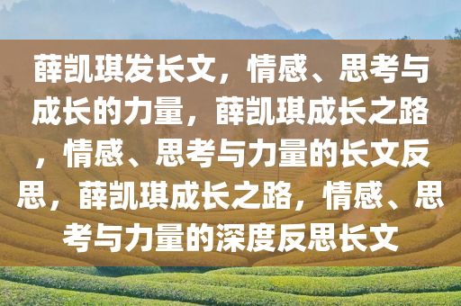 薛凯琪发长文，情感、思考与成长的力量，薛凯琪成长之路，情感、思考与力量的长文反思，薛凯琪成长之路，情感、思考与力量的深度反思长文