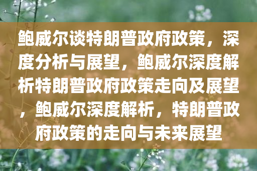 鲍威尔谈特朗普政府政策，深度分析与展望，鲍威尔深度解析特朗普政府政策走向及展望，鲍威尔深度解析，特朗普政府政策的走向与未来展望