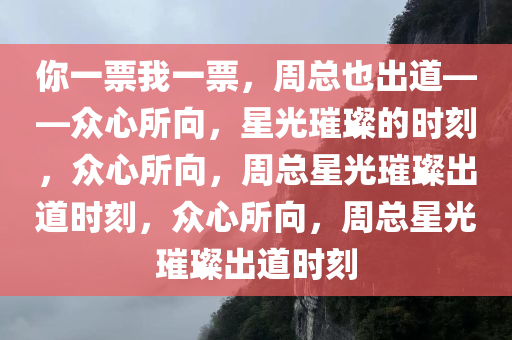 你一票我一票，周总也出道——众心所向，星光璀璨的时刻，众心所向，周总星光璀璨出道时刻，众心所向，周总星光璀璨出道时刻