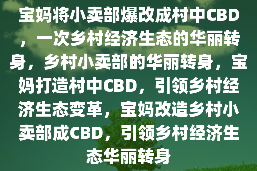 宝妈将小卖部爆改成村中CBD，一次乡村经济生态的华丽转身，乡村小卖部的华丽转身，宝妈打造村中CBD，引领乡村经济生态变革，宝妈改造乡村小卖部成CBD，引领乡村经济生态华丽转身