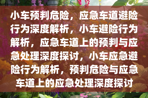 小车预判危险，应急车道避险行为深度解析，小车避险行为解析，应急车道上的预判与应急处理深度探讨，小车应急避险行为解析，预判危险与应急车道上的应急处理深度探讨