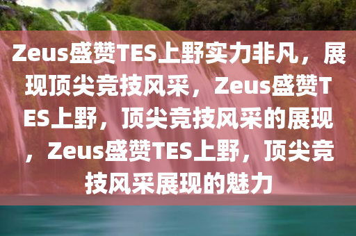 Zeus盛赞TES上野实力非凡，展现顶尖竞技风采，Zeus盛赞TES上野，顶尖竞技风采的展现，Zeus盛赞TES上野，顶尖竞技风采展现的魅力