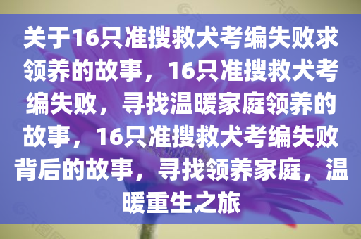 关于16只准搜救犬考编失败求领养的故事，16只准搜救犬考编失败，寻找温暖家庭领养的故事，16只准搜救犬考编失败背后的故事，寻找领养家庭，温暖重生之旅