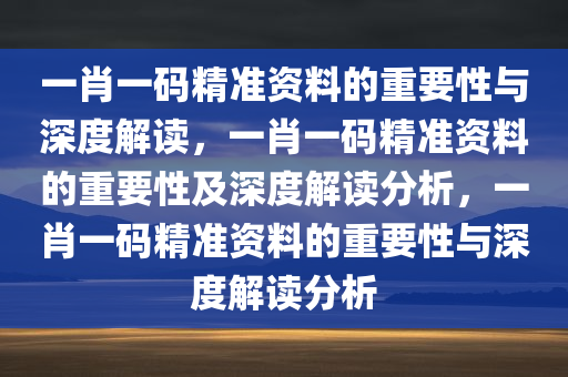 一肖一码精准资料的重要性与深度解读，一肖一码精准资料的重要性及深度解读分析，一肖一码精准资料的重要性与深度解读分析