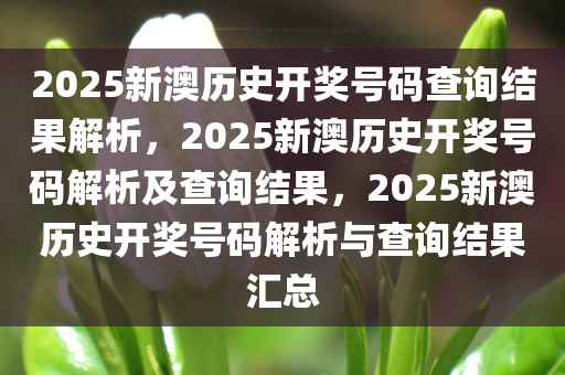 2025新澳历史开奖号码查询结果解析，2025新澳历史开奖号码解析及查询结果，2025新澳历史开奖号码解析与查询结果汇总