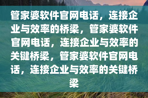 管家婆软件官网电话，连接企业与效率的桥梁，管家婆软件官网电话，连接企业与效率的关键桥梁