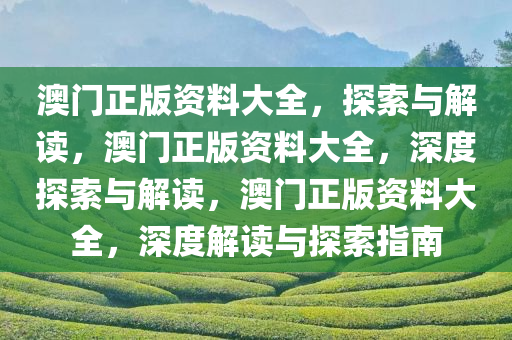 澳门正版资料大全，探索与解读，澳门正版资料大全，深度探索与解读，澳门正版资料大全，深度解读与探索指南