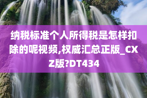 纳税标准个人所得税是怎样扣除的呢视频,权威汇总正版_CXZ版?DT434