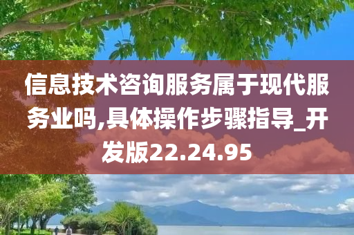 信息技术咨询服务属于现代服务业吗,具体操作步骤指导_开发版22.24.95