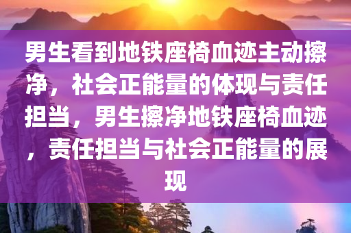 男生看到地铁座椅血迹主动擦净，社会正能量的体现与责任担当，男生擦净地铁座椅血迹，责任担当与社会正能量的展现