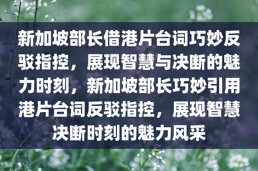 新加坡部长借港片台词巧妙反驳指控，展现智慧与决断的魅力时刻，新加坡部长巧妙引用港片台词反驳指控，展现智慧决断时刻的魅力风采