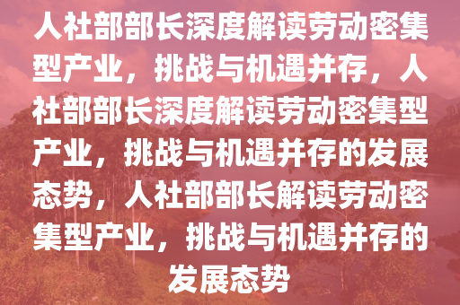 人社部部长深度解读劳动密集型产业，挑战与机遇并存，人社部部长深度解读劳动密集型产业，挑战与机遇并存的发展态势，人社部部长解读劳动密集型产业，挑战与机遇并存的发展态势