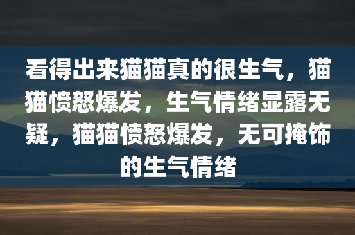 看得出来猫猫真的很生气，猫猫愤怒爆发，生气情绪显露无疑