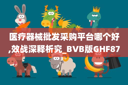 医疗器械批发采购平台哪个好,效战深释析究_BVB版GHF87