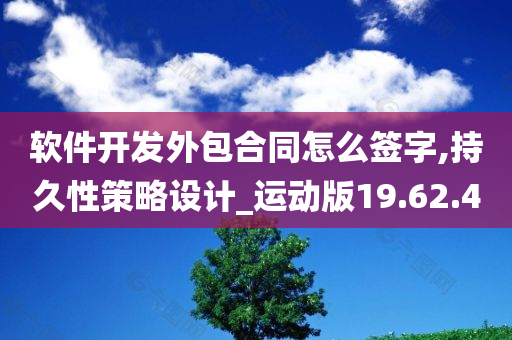 软件开发外包合同怎么签字,持久性策略设计_运动版19.62.40