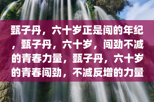 甄子丹，六十岁正是闯的年纪，甄子丹，六十岁，闯劲不减的青春力量，甄子丹，六十岁的青春闯劲，不减反增的力量