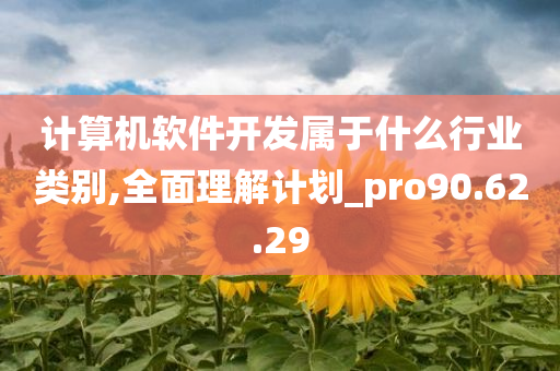 计算机软件开发属于什么行业类别,全面理解计划_pro90.62.29