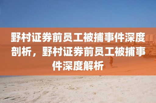 野村证券前员工被捕事件深度剖析，野村证券前员工被捕事件深度解析