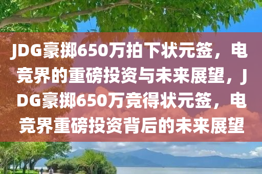 JDG豪掷650万拍下状元签，电竞界的重磅投资与未来展望，JDG豪掷650万竞得状元签，电竞界重磅投资背后的未来展望