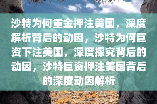 沙特为何重金押注美国，深度解析背后的动因，沙特为何巨资下注美国，深度探究背后的动因