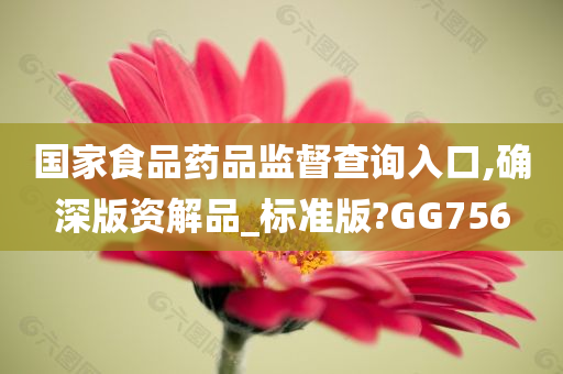 国家食品药品监督查询入口,确深版资解品_标准版?GG756