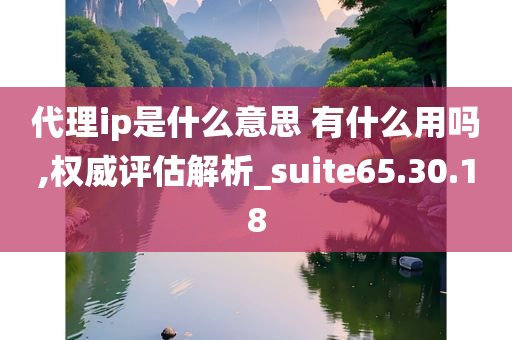 代理ip是什么意思 有什么用吗,权威评估解析_suite65.30.18