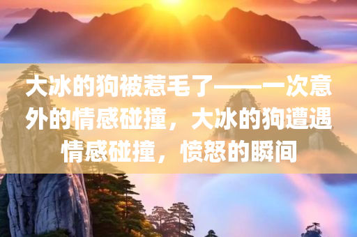 大冰的狗被惹毛了——一次意外的情感碰撞，大冰的狗遭遇情感碰撞，愤怒的瞬间