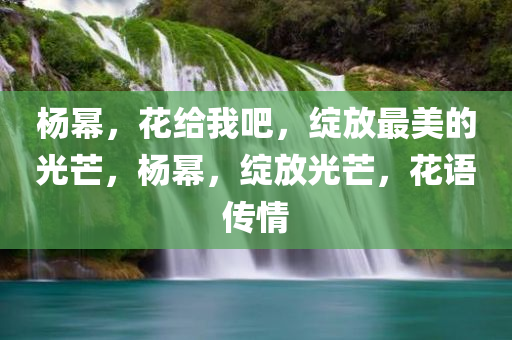 杨幂，花给我吧，绽放最美的光芒，杨幂，绽放光芒，花语传情