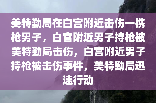 美特勤局在白宫附近击伤一携枪男子，白宫附近男子持枪被美特勤局击伤，白宫附近男子持枪被击伤事件，美特勤局迅速行动