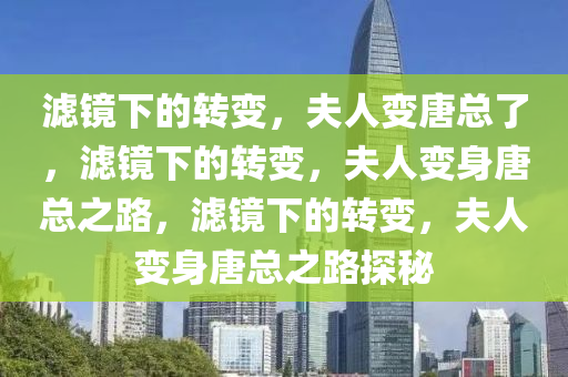 滤镜下的转变，夫人变唐总了，滤镜下的转变，夫人变身唐总之路