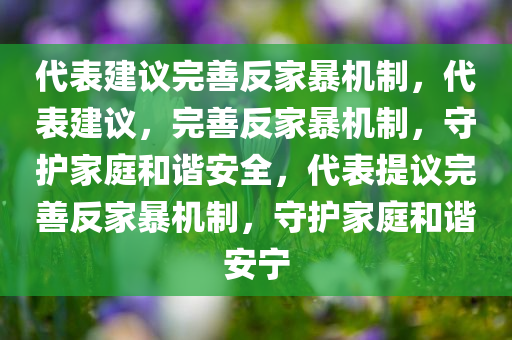 代表建议完善反家暴机制，代表建议，完善反家暴机制，守护家庭和谐安全，代表提议完善反家暴机制，守护家庭和谐安宁