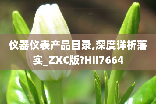 仪器仪表产品目录,深度详析落实_ZXC版?HII7664