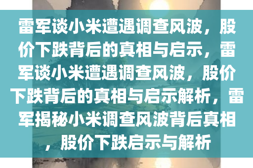 雷军谈小米遭遇调查风波，股价下跌背后的真相与启示，雷军谈小米遭遇调查风波，股价下跌背后的真相与启示解析，雷军揭秘小米调查风波背后真相，股价下跌启示与解析