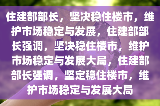 住建部部长，坚决稳住楼市，维护市场稳定与发展，住建部部长强调，坚决稳住楼市，维护市场稳定与发展大局，住建部部长强调，坚定稳住楼市，维护市场稳定与发展大局