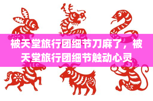 被天堂旅行团细节刀麻了，被天堂旅行团细节触动心灵