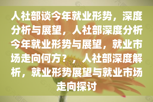 人社部谈今年就业形势，深度分析与展望，人社部深度分析今年就业形势与展望，就业市场走向何方？，人社部深度解析，就业形势展望与就业市场走向探讨