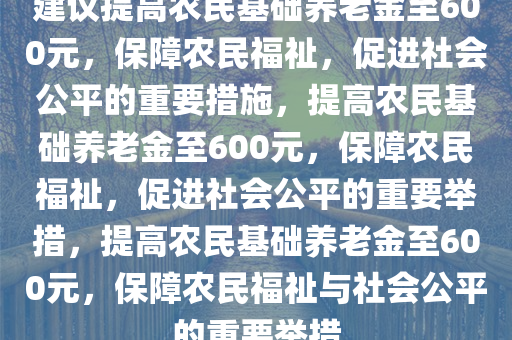 建议提高农民基础养老金至600元，保障农民福祉，促进社会公平的重要措施，提高农民基础养老金至600元，保障农民福祉，促进社会公平的重要举措，提高农民基础养老金至600元，保障农民福祉与社会公平的重要举措