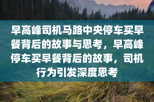 早高峰司机马路中央停车买早餐背后的故事与思考，早高峰停车买早餐背后的故事，司机行为引发深度思考