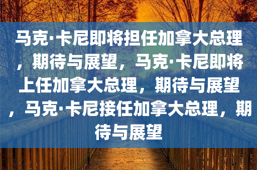 马克·卡尼即将担任加拿大总理，期待与展望，马克·卡尼即将上任加拿大总理，期待与展望