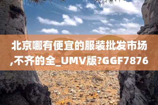 北京哪有便宜的服装批发市场,不齐的全_UMV版?GGF7876