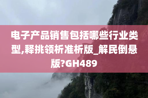 电子产品销售包括哪些行业类型,释挑领析准析版_解民倒悬版?GH489