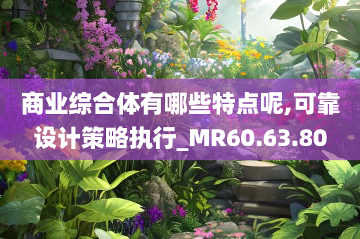 商业综合体有哪些特点呢,可靠设计策略执行_MR60.63.80