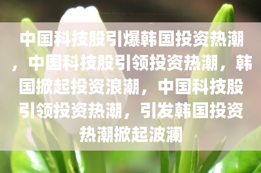 中国科技股引爆韩国投资热潮，中国科技股引领投资热潮，韩国掀起投资浪潮